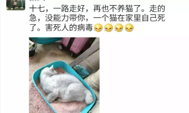 致宠物医院的一封信:不捐钱，捐点力 | 宠物新闻资讯