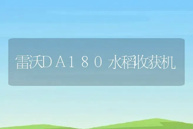 雷沃DA180水稻收获机 | 养殖