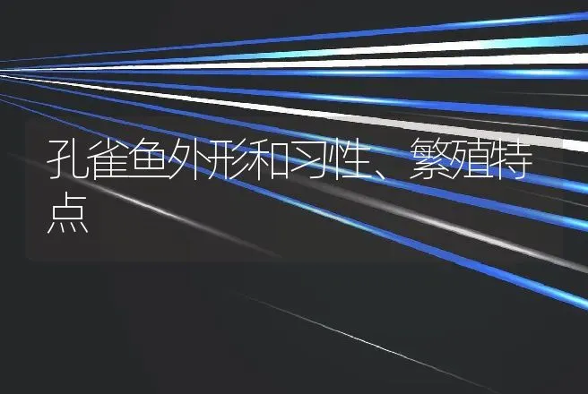 孔雀鱼外形和习性、繁殖特点 | 动物养殖