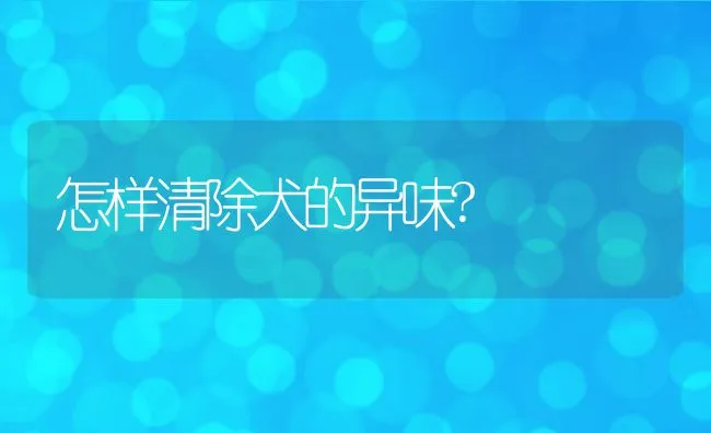 怎样清除犬的异味? | 宠物病虫害