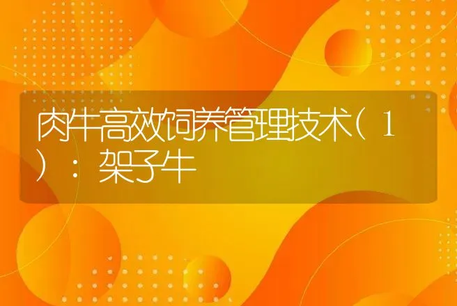 肉牛高效饲养管理技术(1):架子牛 | 动物养殖