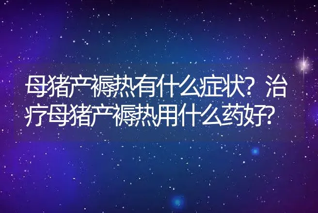 母猪产褥热有什么症状？治疗母猪产褥热用什么药好? | 兽医知识大全