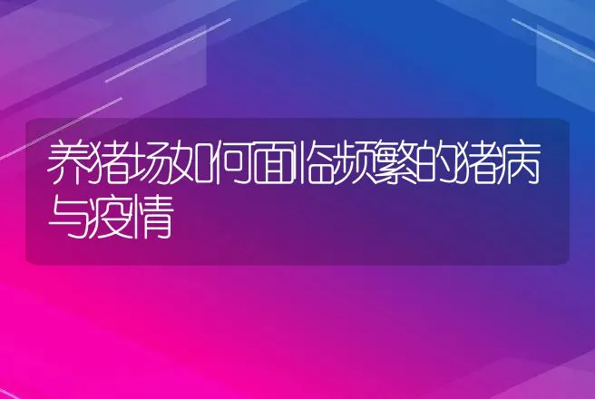 养猪场如何面临频繁的猪病与疫情 | 兽医知识大全