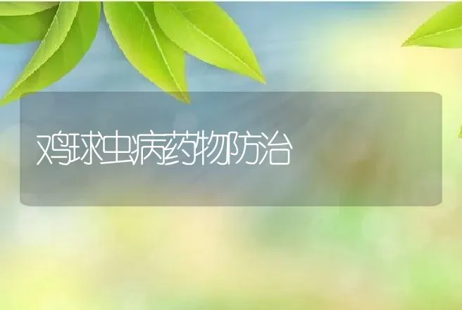 鸡球虫病药物防治 | 动物养殖