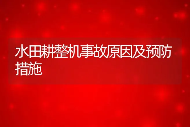 水田耕整机事故原因及预防措施 | 养殖