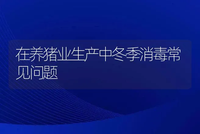 在养猪业生产中冬季消毒常见问题 | 动物养殖