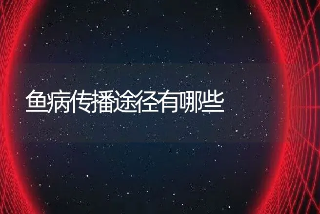 鱼病传播途径有哪些 | 动物养殖