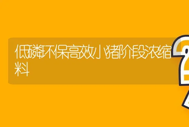 低磷环保高效小猪阶段浓缩料 | 动物养殖