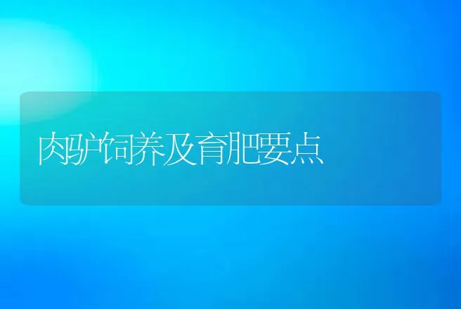 肉驴饲养及育肥要点 | 动物养殖