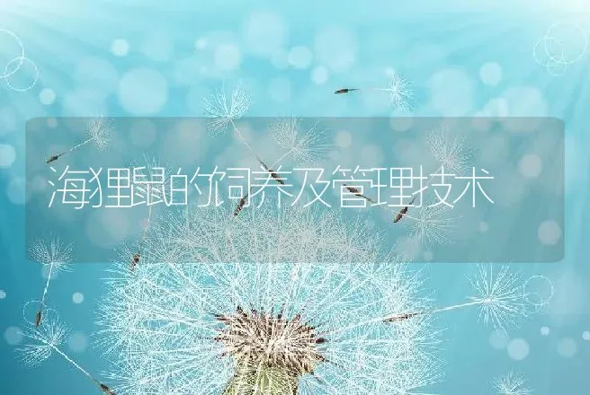 海狸鼠的饲养及管理技术 | 特种养殖