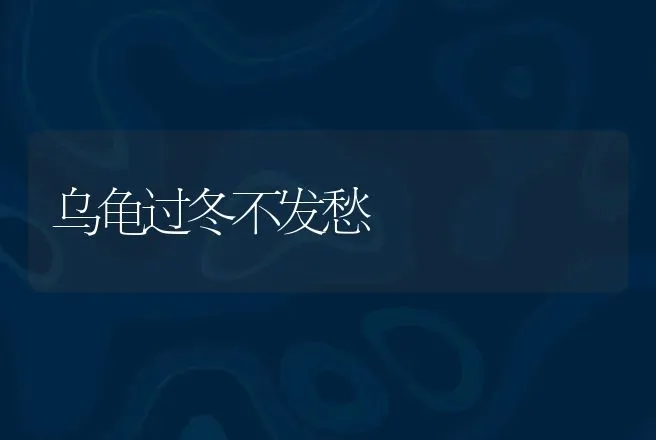 乌龟过冬不发愁 | 动物养殖