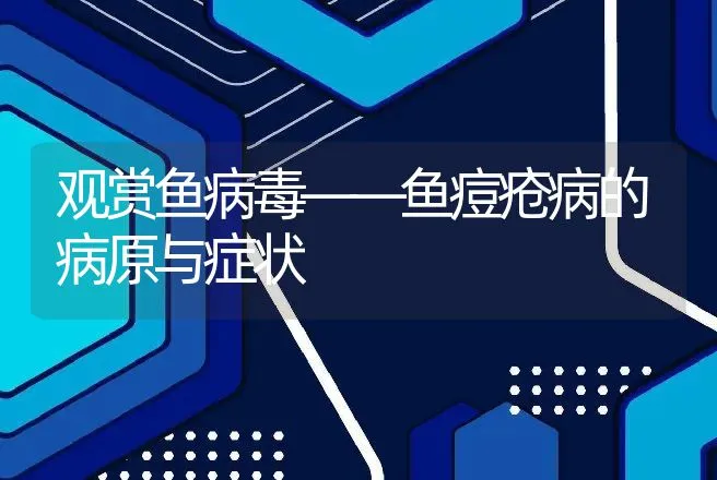 观赏鱼病毒——鱼痘疮病的病原与症状 | 水产知识