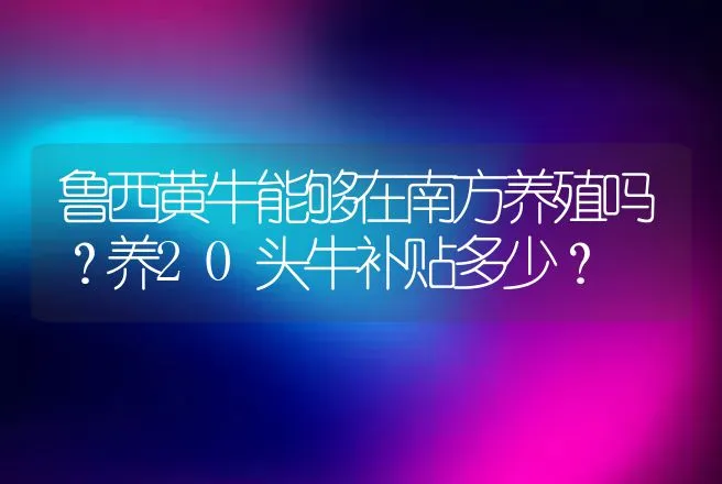 鲁西黄牛能够在南方养殖吗？养20头牛补贴多少？ | 养殖致富