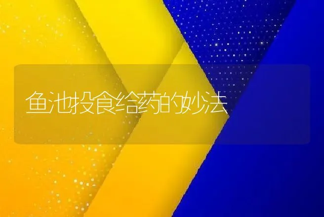 鹿筋壮骨酒的加工技术 | 动物养殖