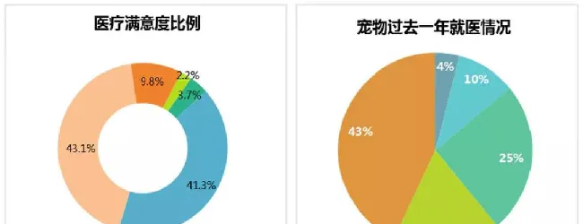 中国宠物行业深度分析 | 宠物门店机会在哪里？ | 宠物行业洞察