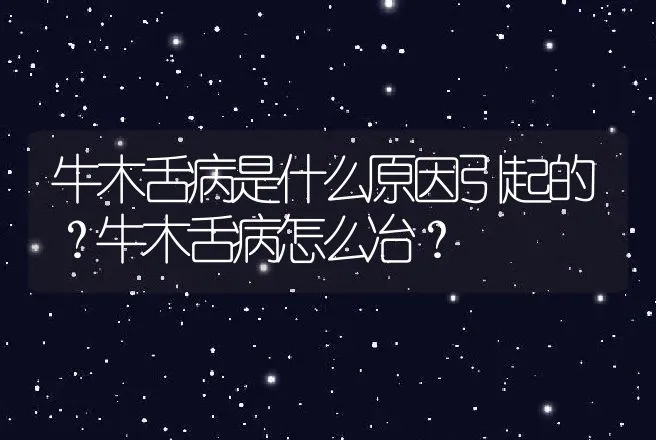 牛木舌病是什么原因引起的？牛木舌病怎么冶？ | 兽医知识大全