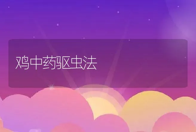 鸡中药驱虫法 | 动物养殖