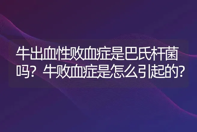 牛出血性败血症是巴氏杆菌吗？牛败血症是怎么引起的？ | 兽医知识大全