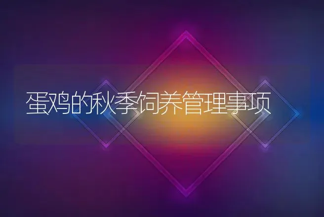 蛋鸡的秋季饲养管理事项 | 家禽养殖