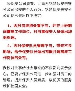 老校长饲养了五年的流浪狗 新校长刚上任就把它“处理”掉了…… | 宠物新闻资讯