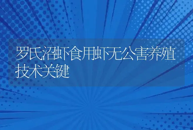 罗氏沼虾食用虾无公害养殖技术关键 | 动物养殖