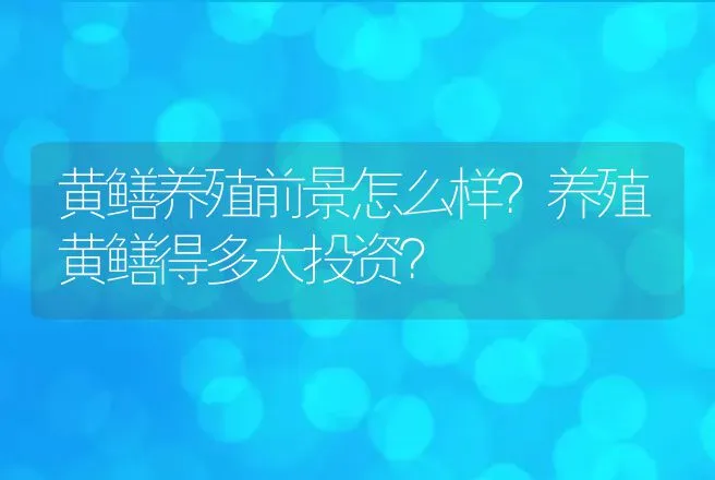 黄鳝养殖前景怎么样？养殖黄鳝得多大投资？ | 养殖致富