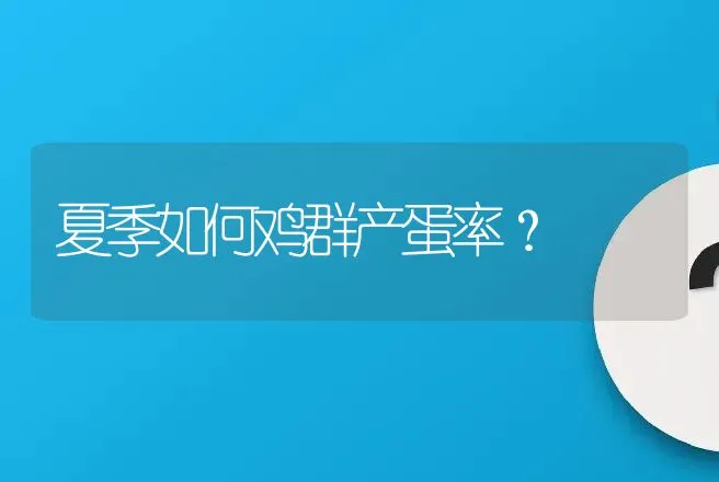 夏季如何鸡群产蛋率？ | 家禽养殖