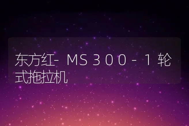 东方红-MS300-1轮式拖拉机 | 养殖