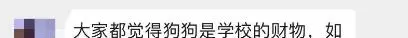 老校长饲养了五年的流浪狗 新校长刚上任就把它“处理”掉了…… | 宠物新闻资讯