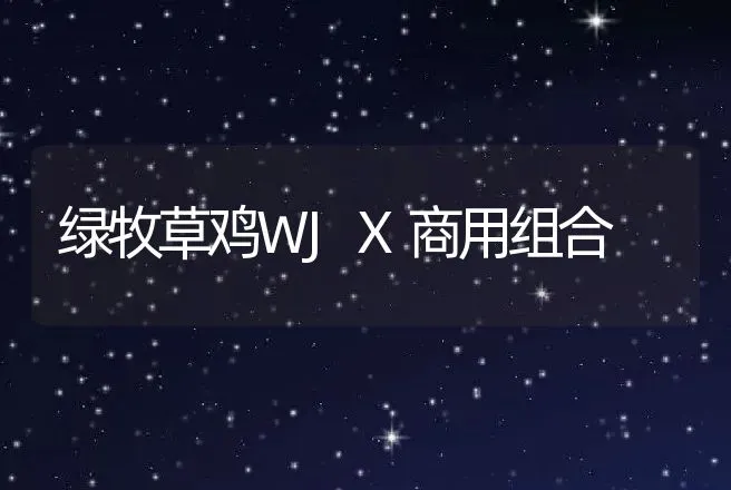 绿牧草鸡WJX商用组合 | 动物养殖