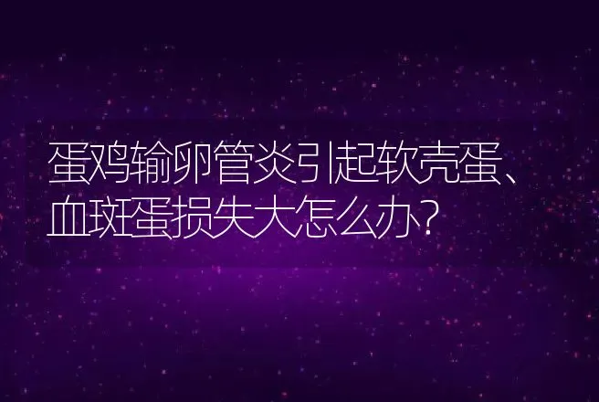 蛋鸡输卵管炎引起软壳蛋、血斑蛋损失大怎么办？ | 兽医知识大全