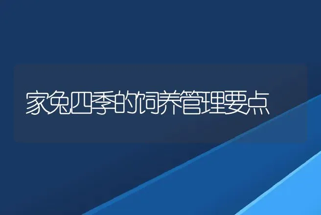 家兔四季的饲养管理要点 | 动物养殖