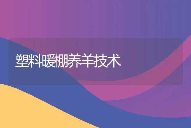 塑料暖棚养羊技术 | 动物养殖