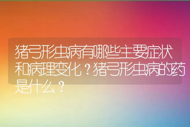 猪弓形虫病有哪些主要症状和病理变化？猪弓形虫病的药是什么？ | 兽医知识大全