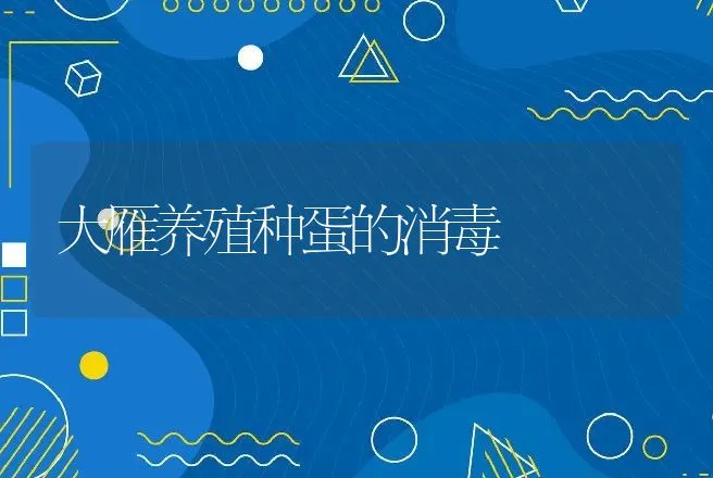 大雁养殖种蛋的消毒 | 动物养殖