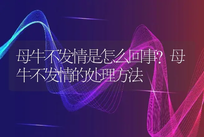 母牛不发情是怎么回事？母牛不发情的处理方法 | 兽医知识大全