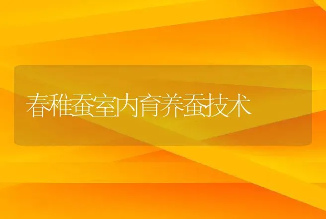 春稚蚕室内育养蚕技术 | 动物养殖