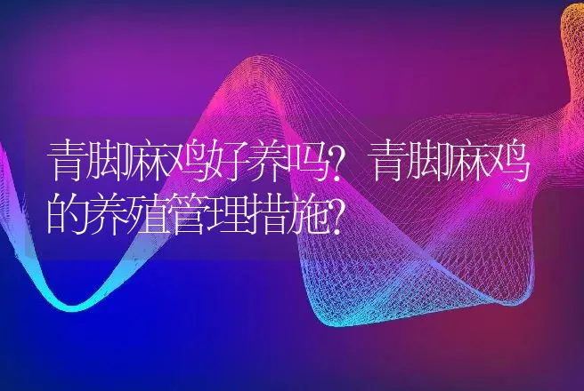 青脚麻鸡好养吗？青脚麻鸡的养殖管理措施？ | 家禽养殖