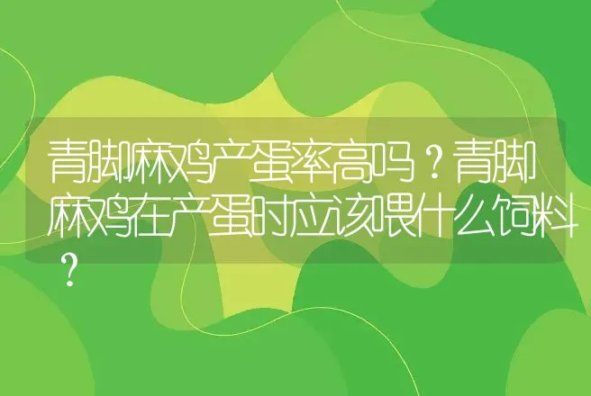 青脚麻鸡产蛋率高吗？青脚麻鸡在产蛋时应该喂什么饲料？ | 家禽养殖