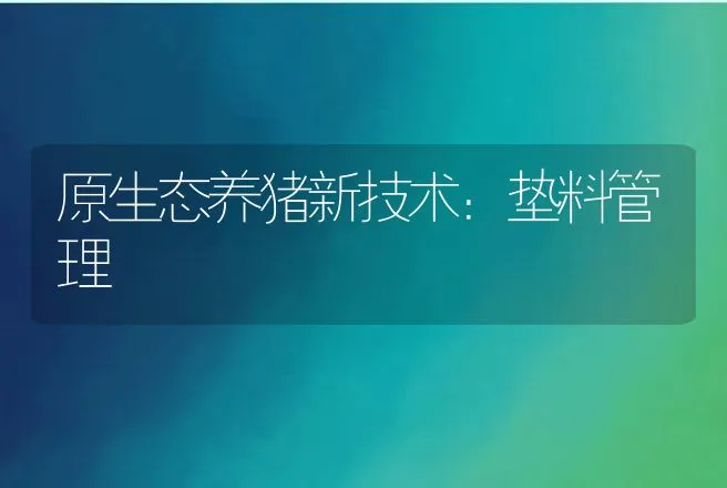 原生态养猪新技术：垫料管理 | 动物养殖