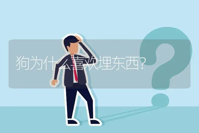 狗为什么喜欢埋东西？ | 动物养殖