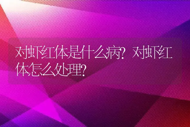 对虾红体是什么病？对虾红体怎么处理？ | 兽医知识大全