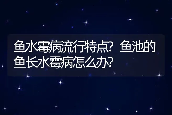 鱼水霉病流行特点?鱼池的鱼长水霉病怎么办? | 兽医知识大全