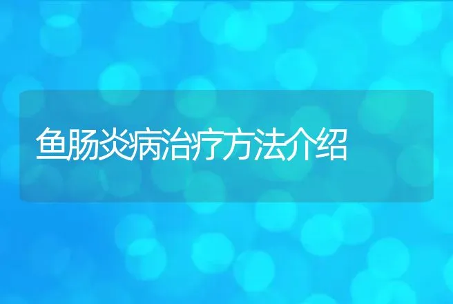 鱼肠炎病治疗方法介绍 | 水产知识