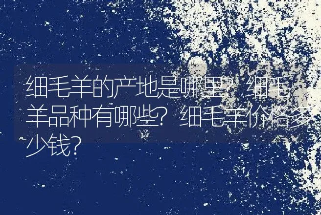 细毛羊的产地是哪里?细毛羊品种有哪些?细毛羊价格多少钱？ | 动物养殖