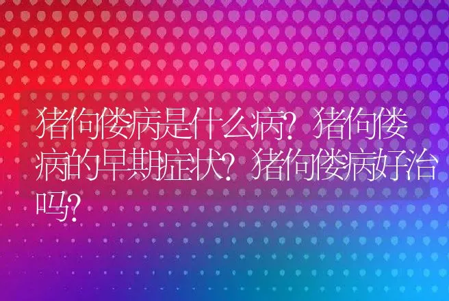 猪佝偻病是什么病？猪佝偻病的早期症状？猪佝偻病好治吗？ | 兽医知识大全