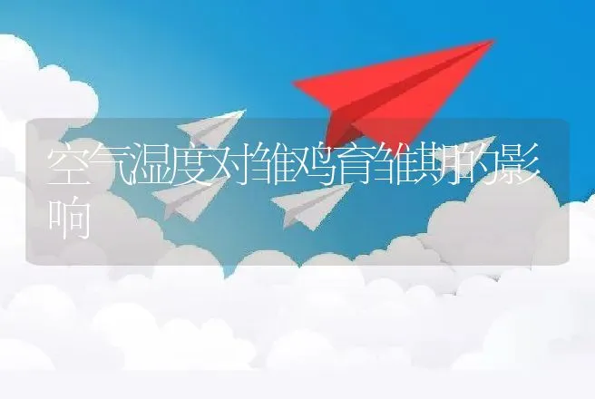 空气湿度对雏鸡育雏期的影响 | 动物养殖