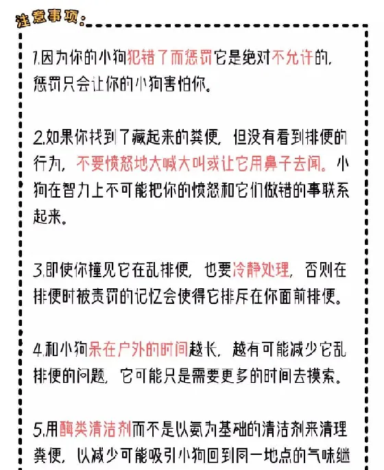 训了100遍的定点上厕所，宠物们到底还能不能学会？ | 宠物狗训练技巧