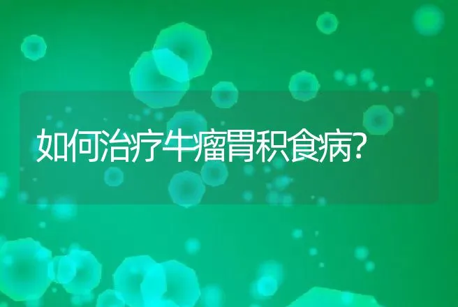 如何治疗牛瘤胃积食病？ | 家畜养殖