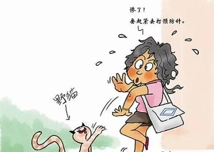 被猫狗咬伤怎么办被狗、猫咬伤、抓伤，怎么办？ | 宠物百科知识